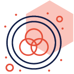 Brand & Language@1.5x